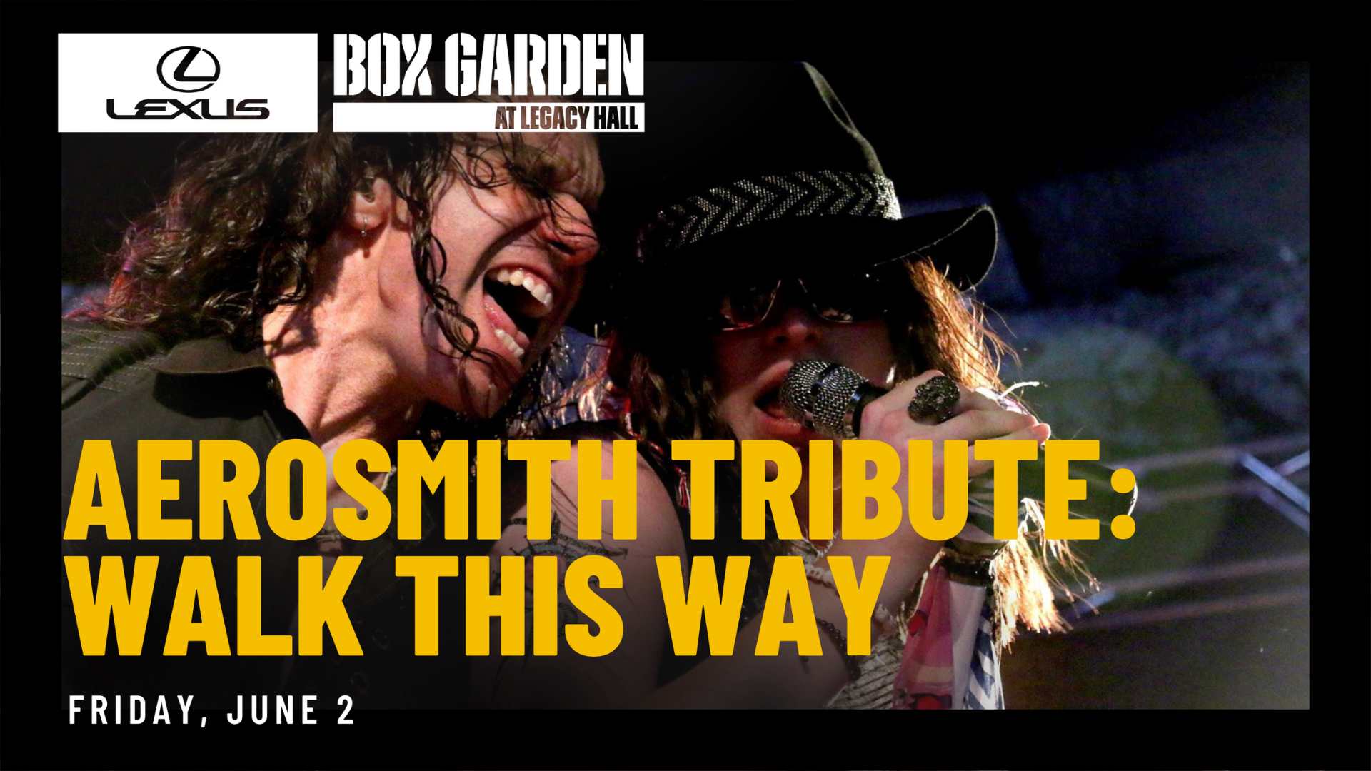 Promo image of Aerosmith Tribute: Walk This Way