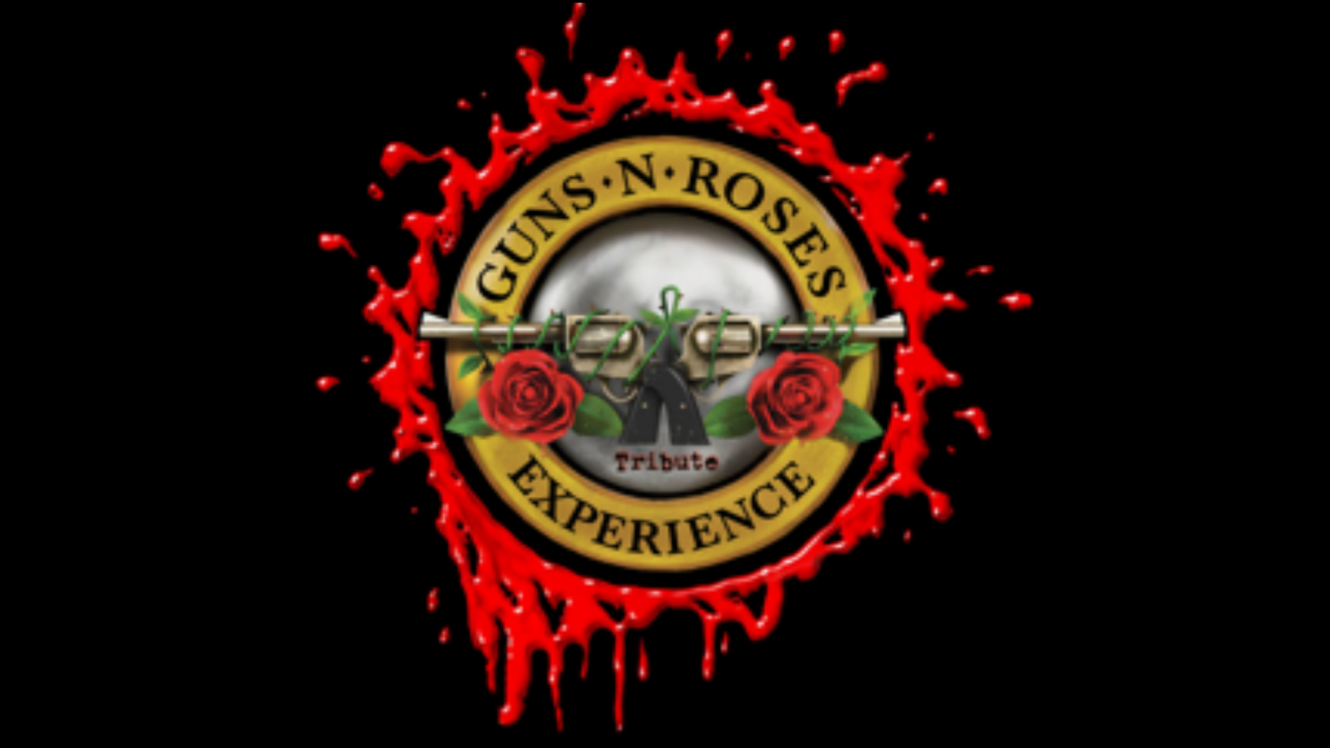 Guns n Roses Experience (Tribute to Guns n Roses) - hero