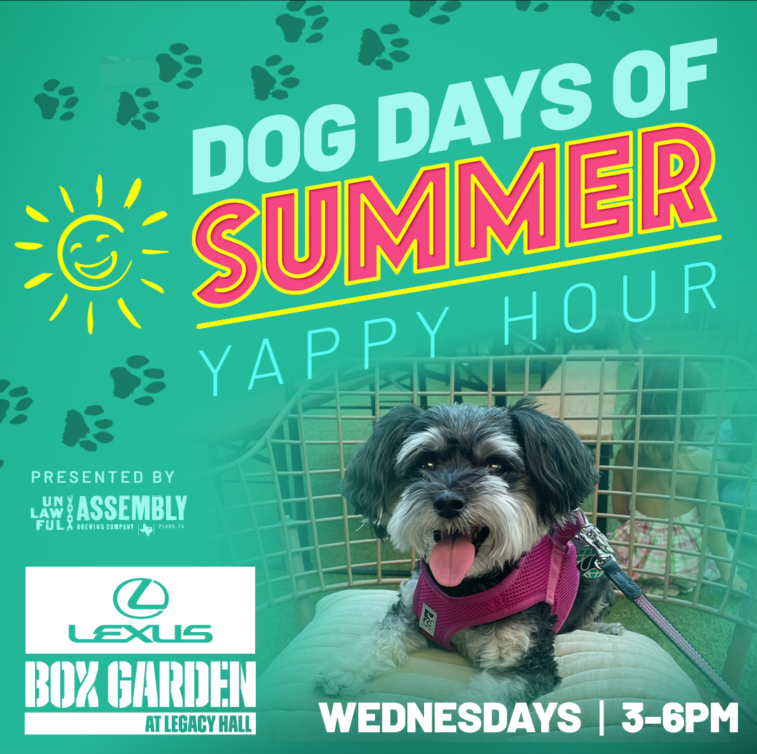 Dog Days of Summer | Yappy Hour - hero