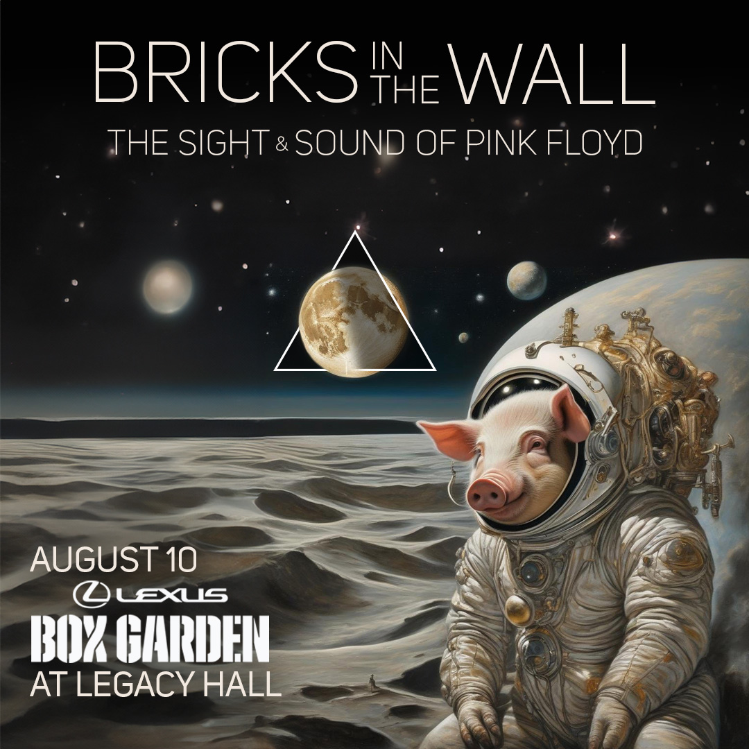 Promo image of Pink Floyd Tribute | Bricks In The Wall