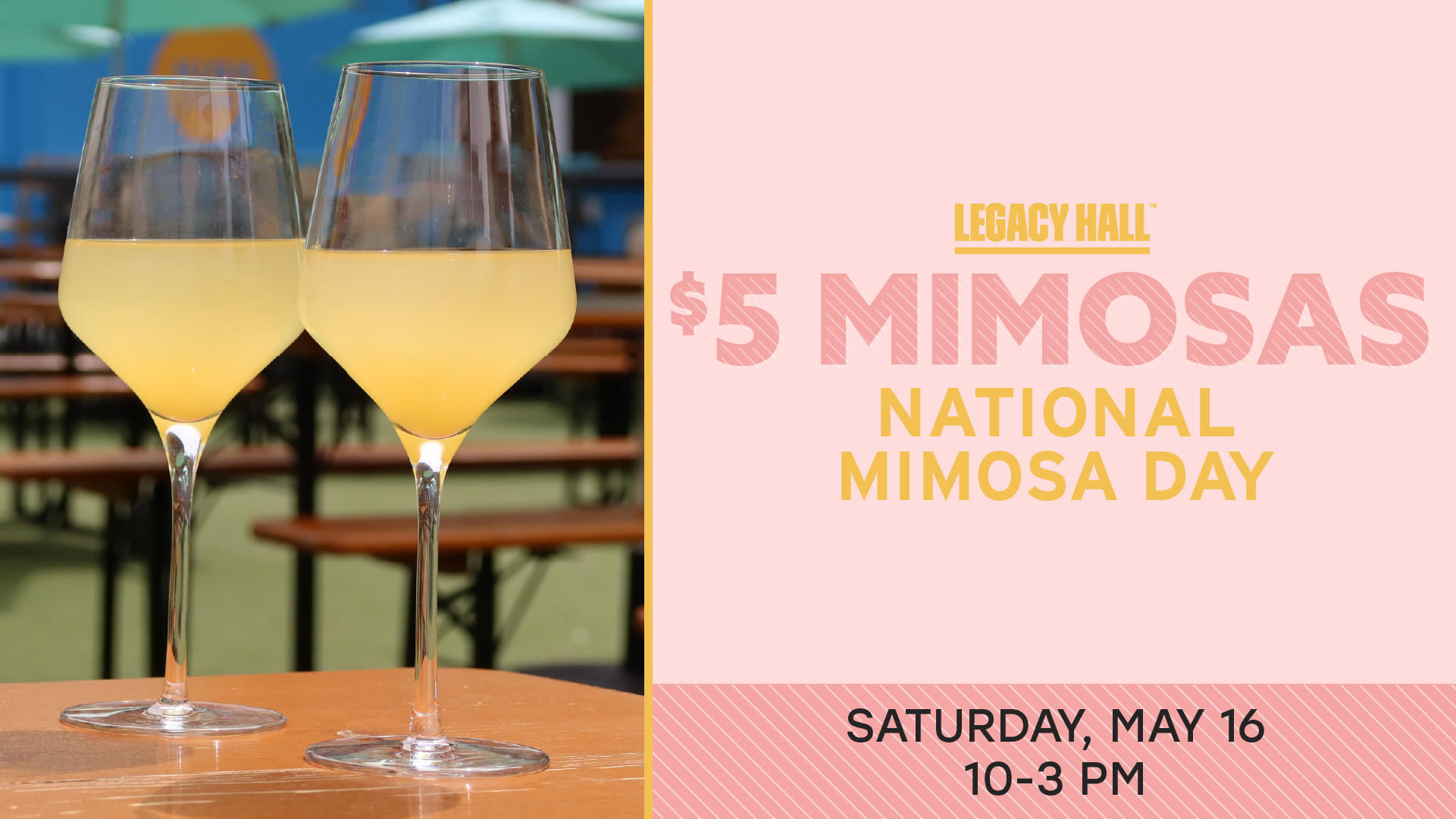 National Mimosa Day