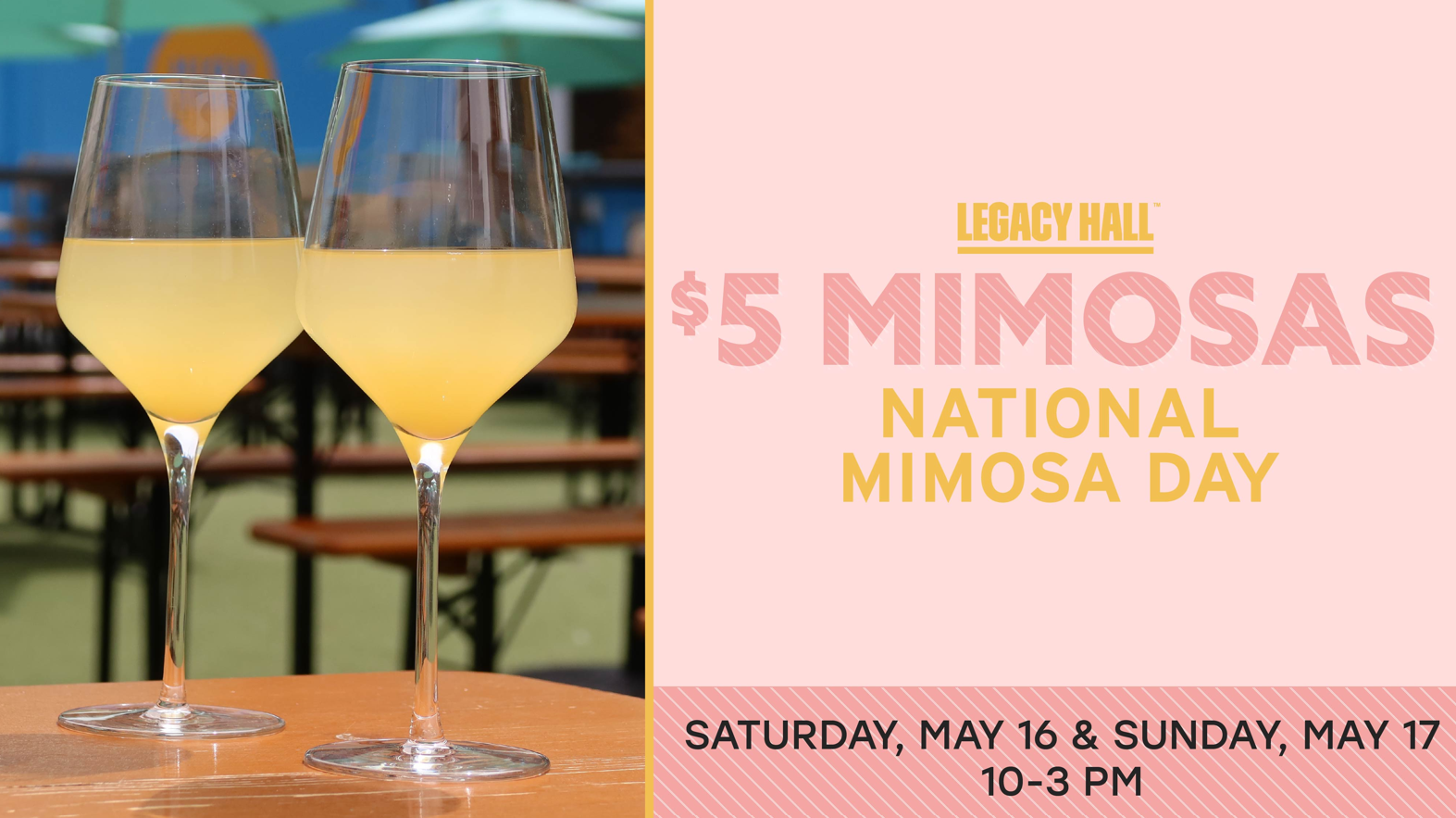 National Mimosa Day
